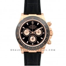 Daytona 116515 Black Dial in Rose Gold